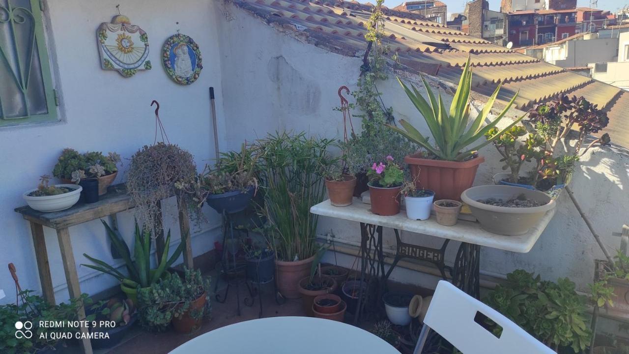 Vacanzella Catania Bagian luar foto